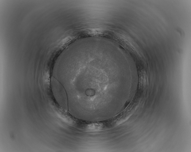 X0000111020700200906261541