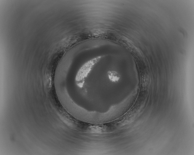 X0000111020703200906261541