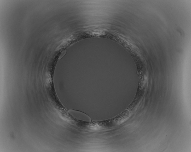 X0000111020704200906261541