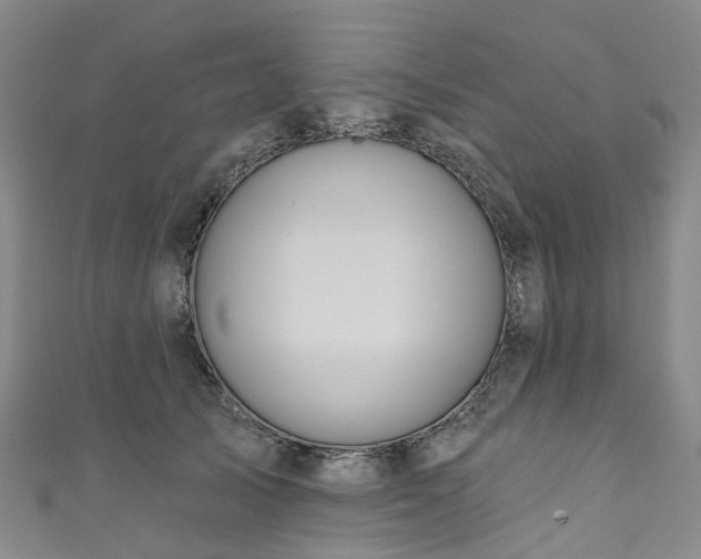 X0000111020705200906261541