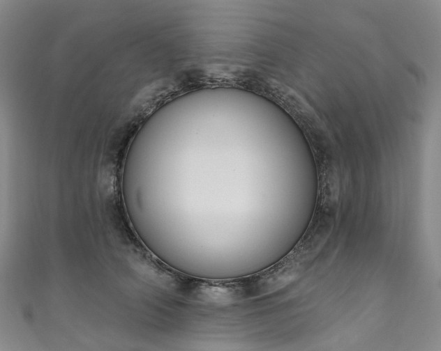 X0000111020706200906261541