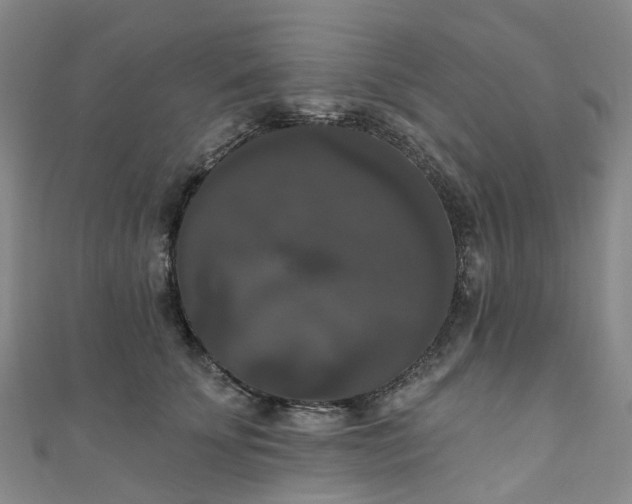 X0000111020707200906261541