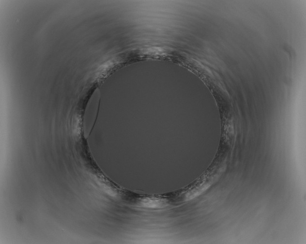 X0000111020708200906261541