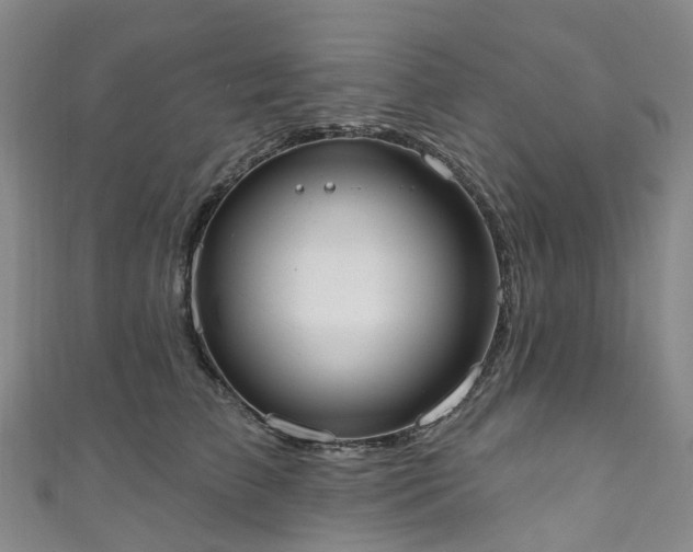 X0000111020709200906261540