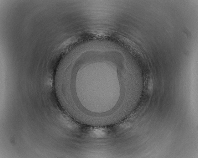 X0000111020710200906261540