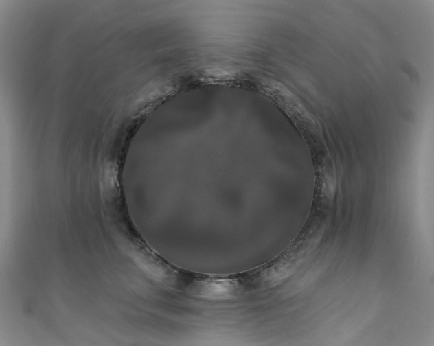 X0000111020711200906261540