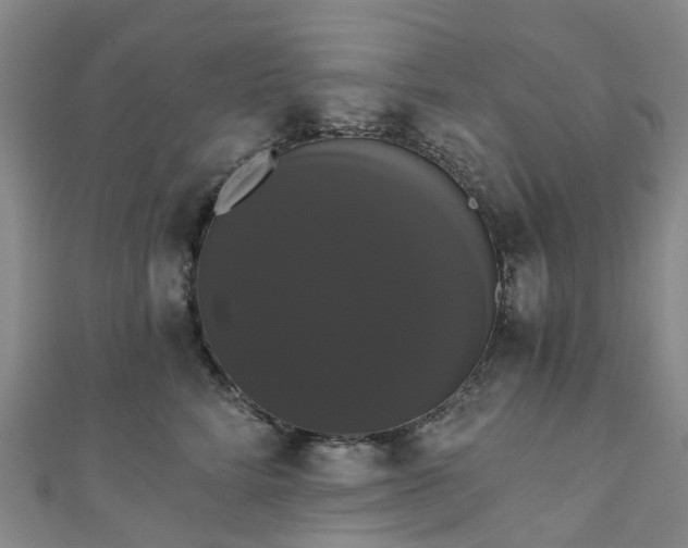 X0000111020712200906261540