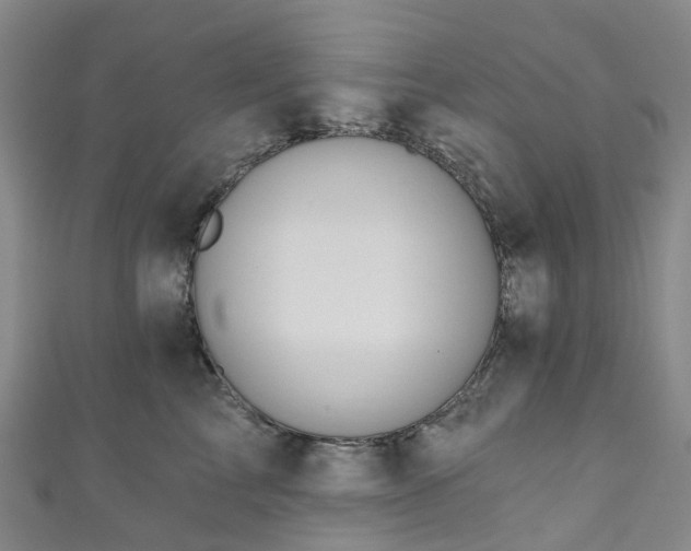 X0000111020713200906261540