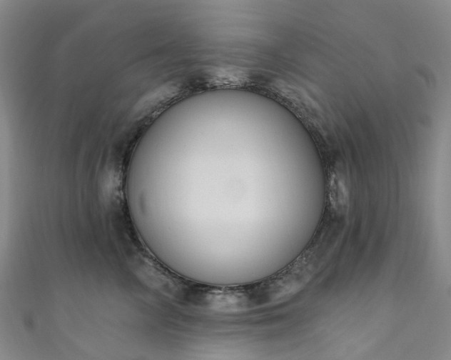 X0000111020714200906261540