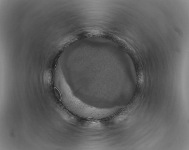 X0000111020715200906261540