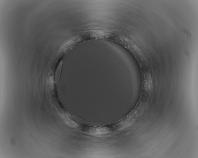 X0000111020716200906261540