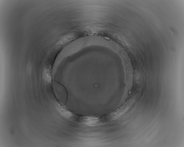 X0000111020719200906261540