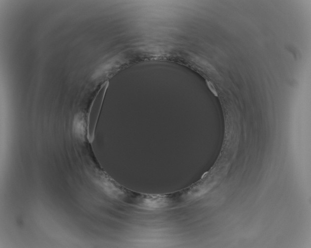 X0000111020720200906261540
