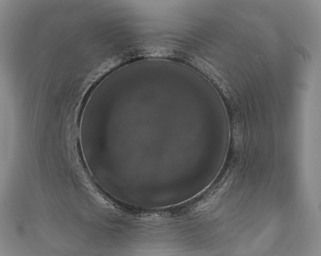 X0000111020721200906261540