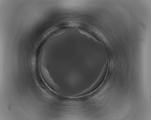 X0000111020722200906261540