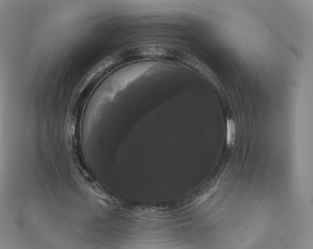 X0000111020723200906261540