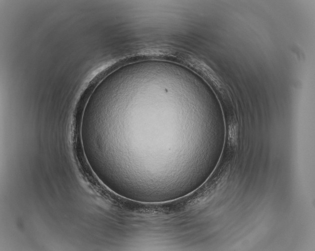 X0000111020724200906261540