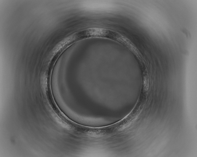 X0000111020725200906261540