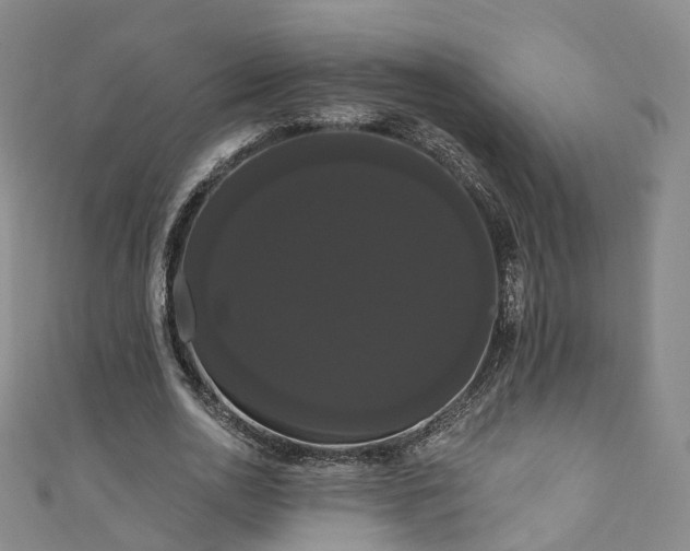 X0000111020726200906261540