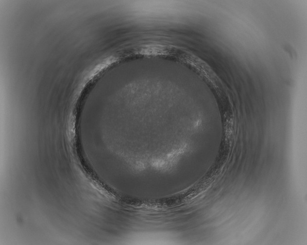 X0000111020727200906261540