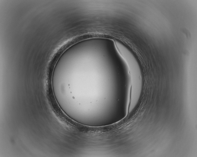 X0000111020728200906261540