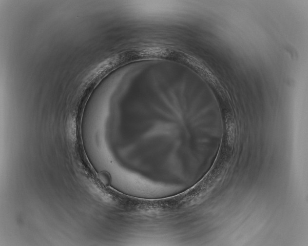 X0000111020729200906261540