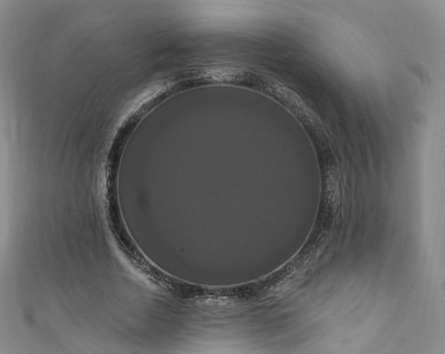 X0000111020730200906261540