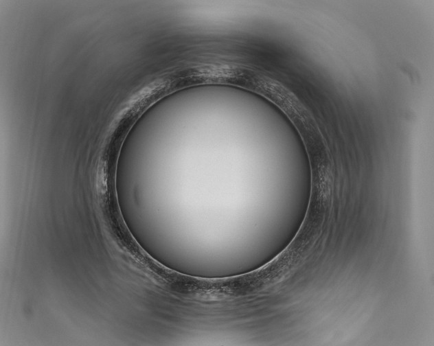 X0000111020731200906261540