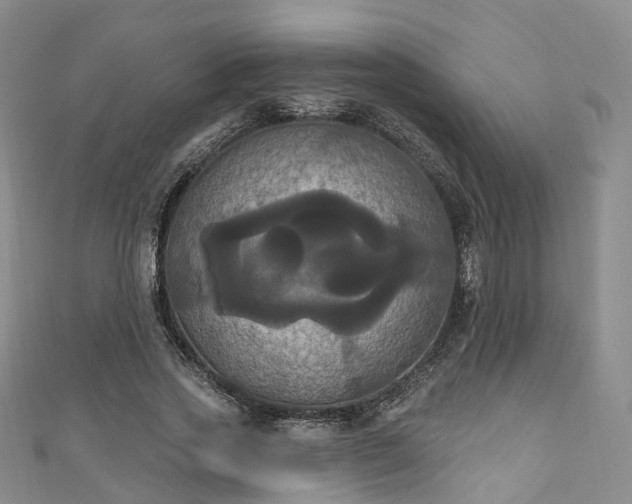 X0000111020733200906261540