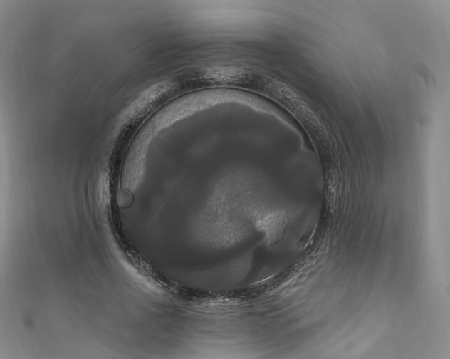 X0000111020734200906261540