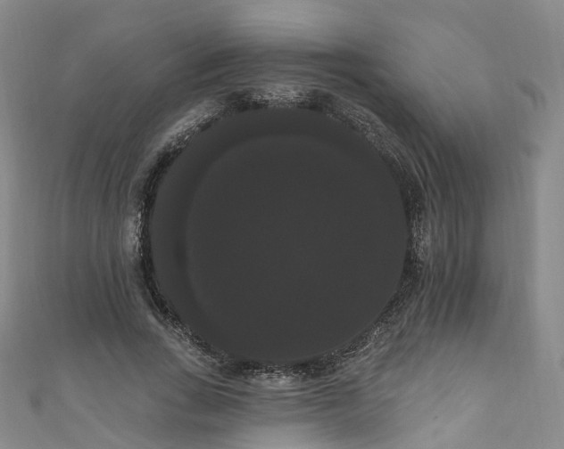 X0000111020735200906261540