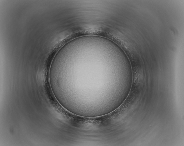 X0000111020736200906261540