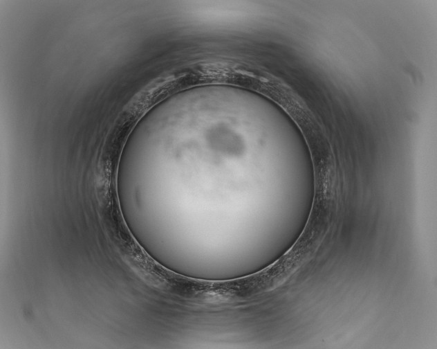 X0000111020737200906261540