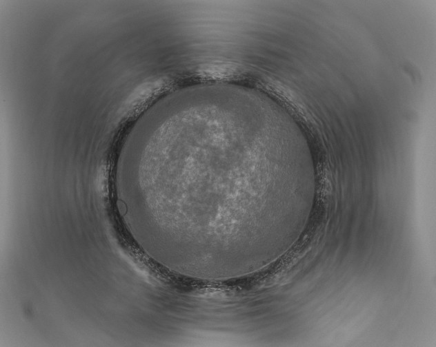 X0000111020738200906261540