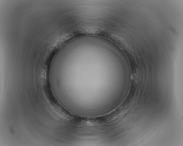 X0000111020739200906261540