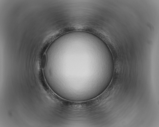 X0000111020740200906261540