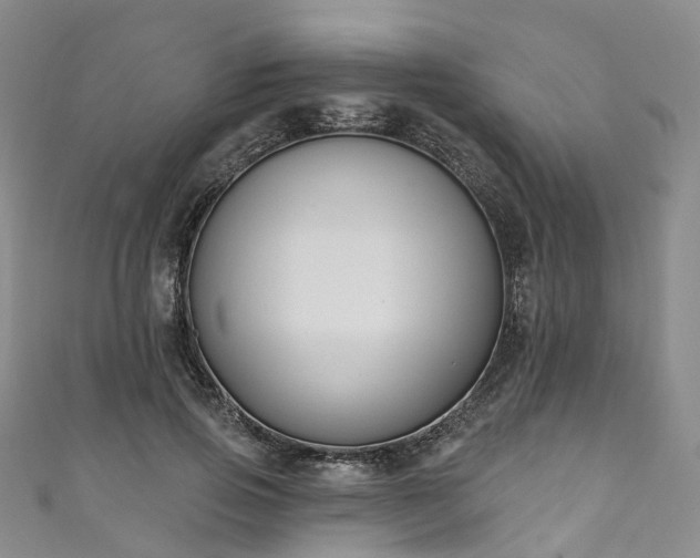 X0000111020741200906261540