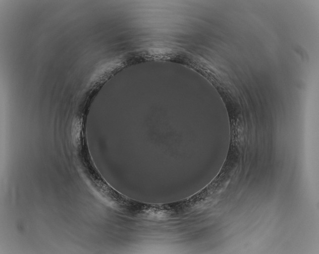 X0000111020742200906261540