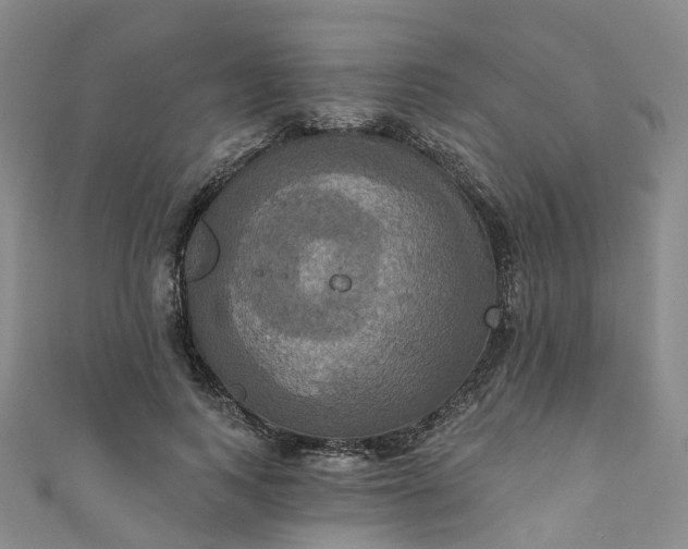 X0000111020743200906261540