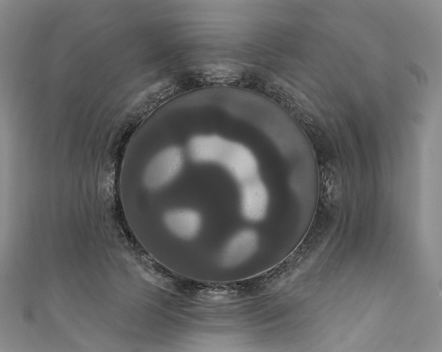 X0000111020745200906261540