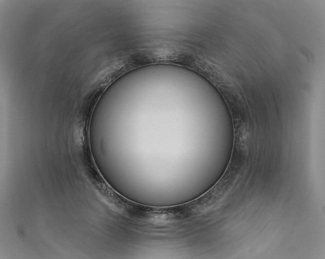 X0000111020746200906261540