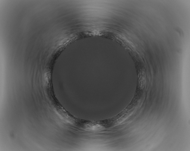 X0000111020747200906261540