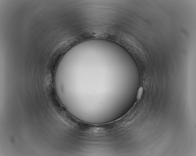 X0000111020748200906261540