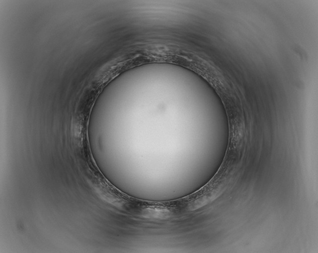 X0000111020749200906261540
