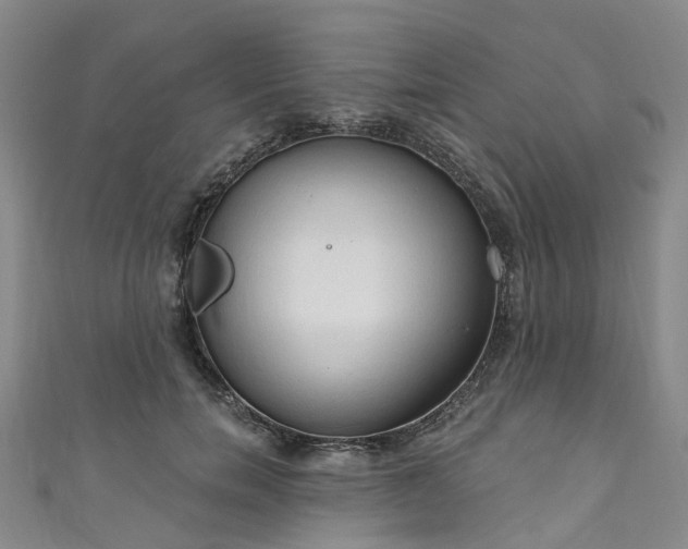 X0000111020750200906261540
