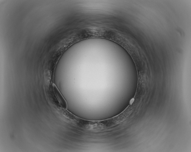 X0000111020752200906261540