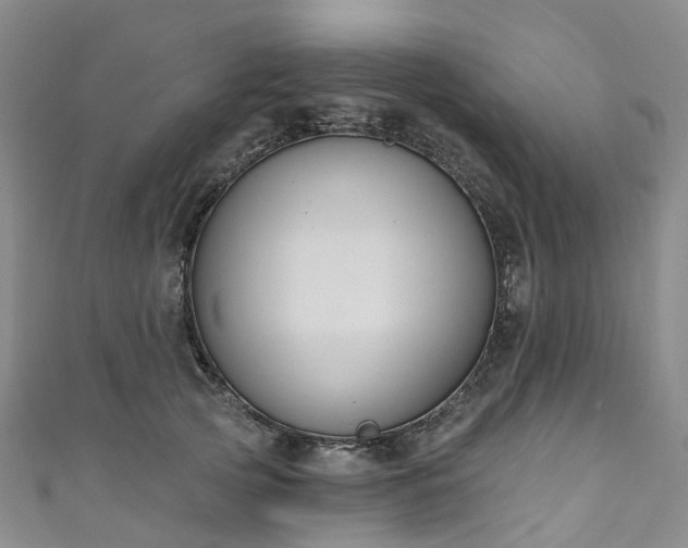 X0000111020753200906261540