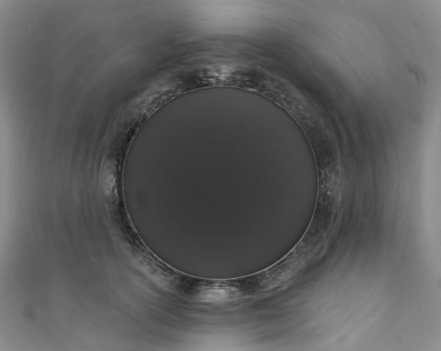 X0000111020754200906261540