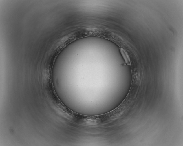 X0000111020756200906261540