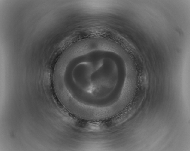 X0000111020757200906261540